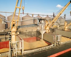 Цены на продукты вырастут: в МВФ озвучили последствия выхода России из зерновой сделки