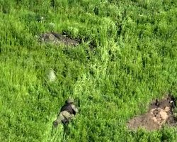 Штурмовая бригада ВСУ провела зачистку канала и лесополосы от россиян вблизи Бахмута (видео)