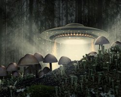 Пентагон оприлюднив другу партію секретних файлів НЛО: зафіксовано об'єкти над Іраном