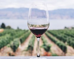 Винная карта Украины. Что происходит с виноделием и почему цены на алкоголь вырастут