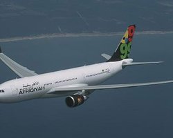 При крушении самолета в Ливии погибли 70 голландцев