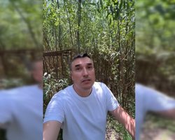 Досягають 9 метрів у висоту: на дні Каховського водосховища виріс густий вербовий ліс (відео)