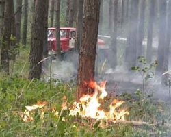 В Днепропетровской области продолжается тушение пожаров 