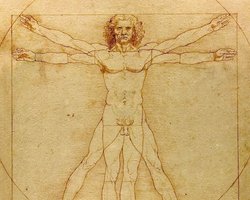 Сколько отверстий в человеческом теле: вопрос оказался сложнее, чем все думали