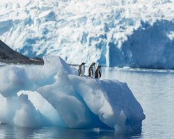 Битва за Антарктиду. Почему ученые считают, что на белом континенте может грянуть Апокалипсис