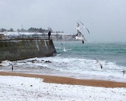В Севастополе не теряют надежды больше получить от России за флот