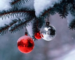 Ученые: Новогодние елки опасны для здоровья