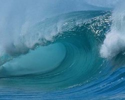 В Японии водитель снял  видео о том, как его смыло цунами