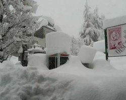 В Боярке из-за шквального ветра пропало электричество