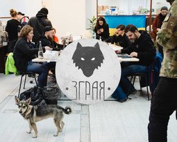 Зграя ЮА