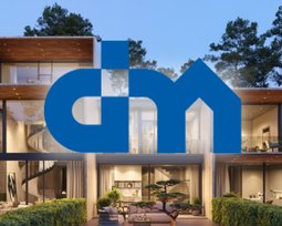 DIM