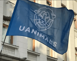 БО UAnimals