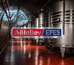 AB InBev Efes Україна