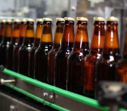 Чернігівське