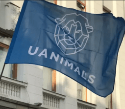 БО UAnimals
