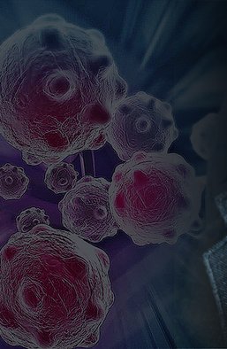 Будь как Янина! Посвятите свободное время не метаниям между ужасом и надеждой, а реальным делам