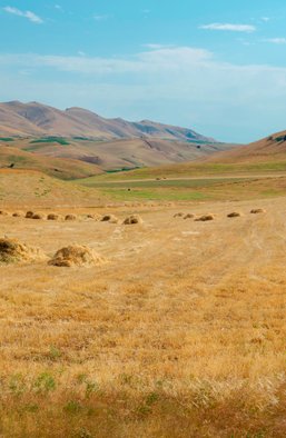Війна за воду. Річки Ферганської долини як контрольний пакет для управління Середньою Азією