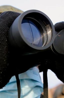 Їжаку зрозуміло. Що говорять політики і ЗМІ  про ситуацію навколо України і як це варто розуміти