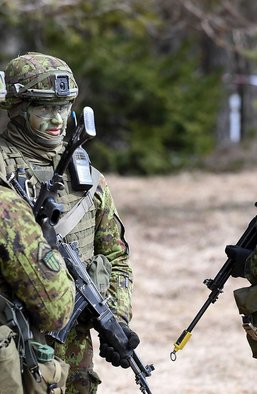 Окупація Естонії скасовується: чому Росія не готова до нападу на країни Балтії і до чого тут Запоріжжя