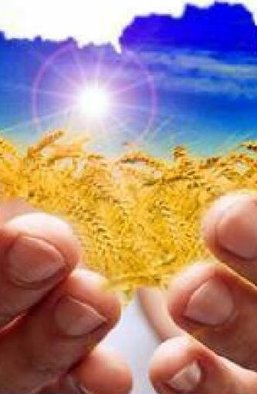 Деньги для роста. Где их взять и как Украине вырваться из ловушки отсталости