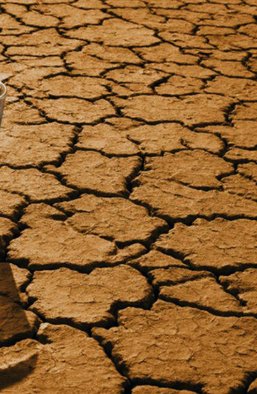 Нігерійська трагедія. Чому у Центральній Африці розгортається "водний джигад"