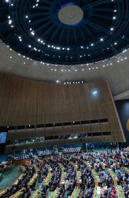 Дипломатический сувенир. Почему Китай впервые поддержал резолюцию ООН, в которой Россия названа агрессором