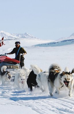 Завоевание Панамы и Гренландии: почему геополитический бред Трампа — вовсе не бред