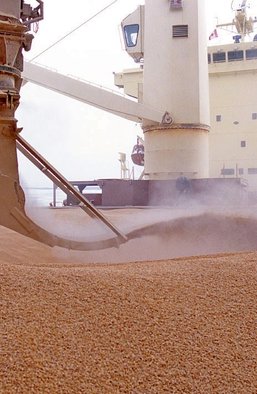 Аграрная блокада. Как Украина потеряла свои экспортные шансы и на кого теперь надеяться