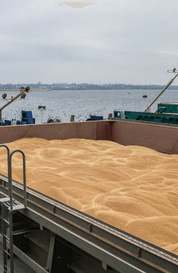 Хоть война — хоть не война. Почему Украине критически важно вывезти зерно