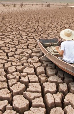 Потепління, Трамп і Ель-Ніньйо: чому на світ насувається продовольча криза