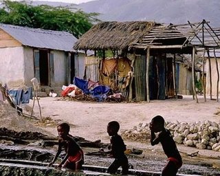 Голландские семьи намерены усыновить осиротевших детей с Гаити