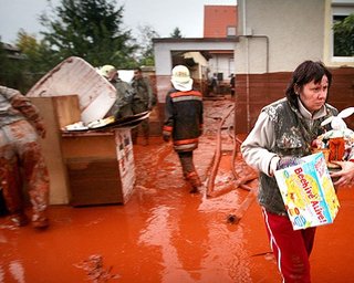 Токсичные отходы с венгерского завода попали в приток Дуная