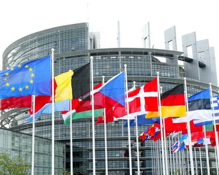 Европарламент не признал выборы в Беларуси и назвал Лукашенко персоной нон грата