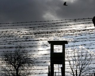 Европейские эксперты недоумевают, как видео с Тимошенко могло попасть в интернет