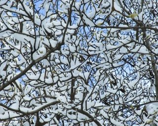 Погода на завтра: снег, до 18° мороза