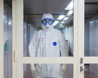 Новая вспышка в Украине: какая область лидирует по количеству случаев хантавируса