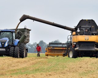 Новый запрет для украинской продукции в ЕС: что ждет фермеров и аграриев