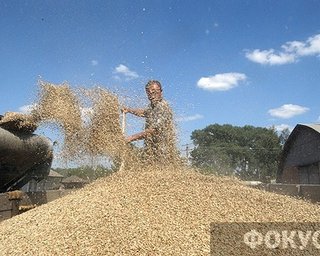 В одни закрома. Кто заработал на экспортных квотах на зерно