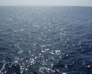Море около Одессы становится пресным и теплеет