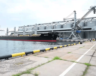 В портах Одесской области начали отгружать зерно на экспорт (фото, видео)
