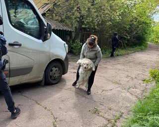 Ховаються від ТЦК: на Сумщині люди відмовляються евакуюватися з прикордонної зони (відео)