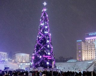 Митинги не мешают установке елки на Майдане, - КГГА