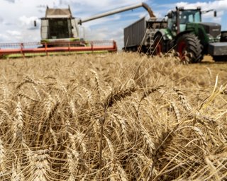 Взяли паузу: Україна призупинила зернові скарги в СОТ, — Мінекономіки