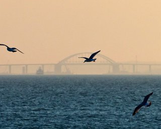 Внешняя угроза во внутренних водах. Готов ли Киев выйти из кризиса на Азове