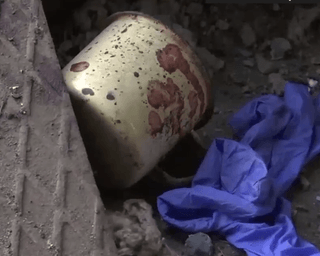 Іноземні журналісти вперше показали колонію Оленівки після удару (відео)