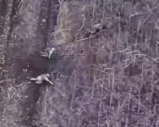 Зіграли у радіогру: ЗСУ хитрістю знищили взвод морпіхів в Курській області (відео)
