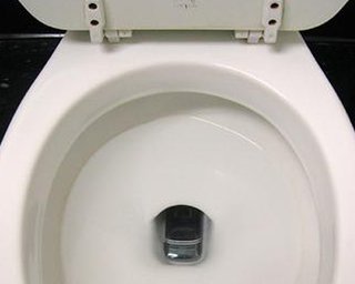 В Никополе на избирательном участке в унитазе застрял наблюдатель