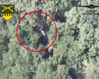"Влаштували пекло ударним бомбером": ЗСУ знищили техніку РФ, начинену гарматами (відео)