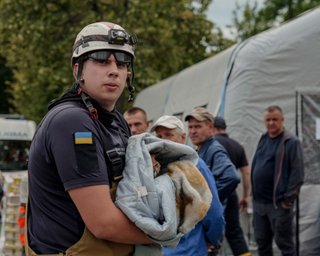 Чудом выжил: под завалами в Вишневом нашли кота в тяжелом состоянии (видео)