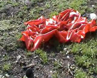 В Донецке сожгли красный флаг (видео)